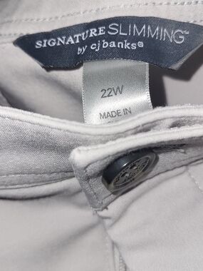 Signature Slimming by CJ Banks Light Gray Pants